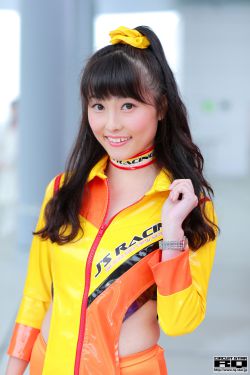 不二之臣小说